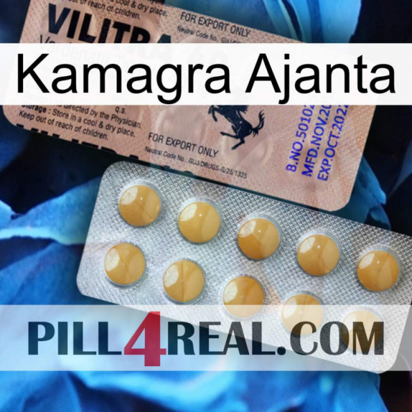 Kamagra Ajanta 41.jpg